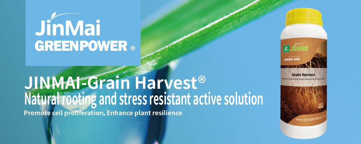 Natural Rooting and Stress Resistant Active Solution Fertilizer کود محلول فعال ریشه زایی طبیعی و مقاوم در برابر استرس