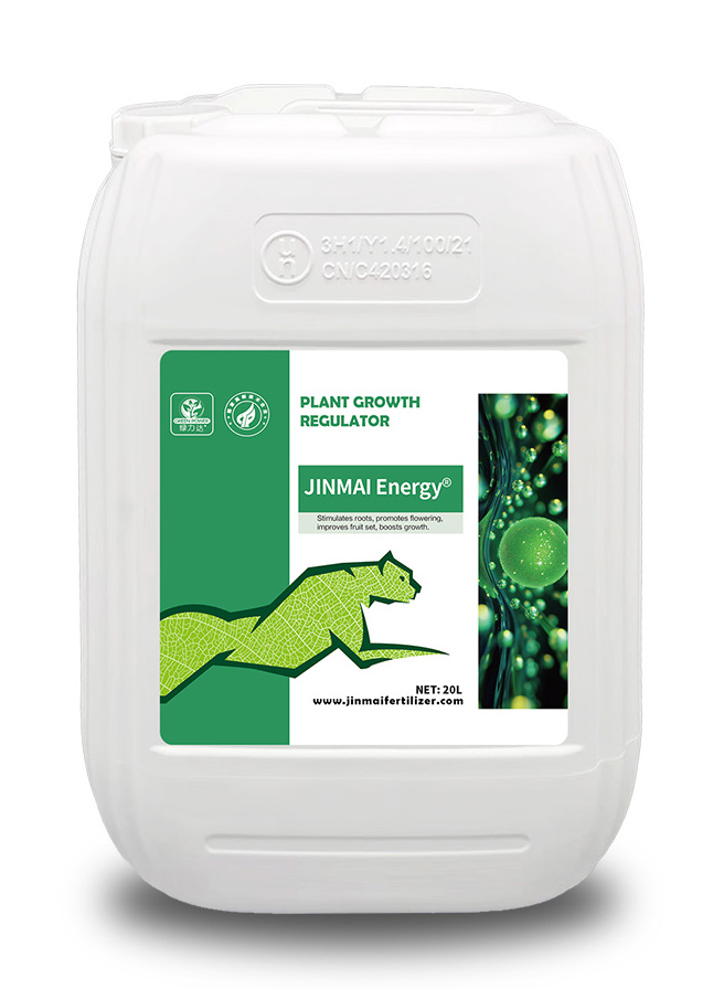 JINMAI Energy® Plant Growth Regulator_02 JINMAI Energy® Pflanzenwachstumsregulator_02