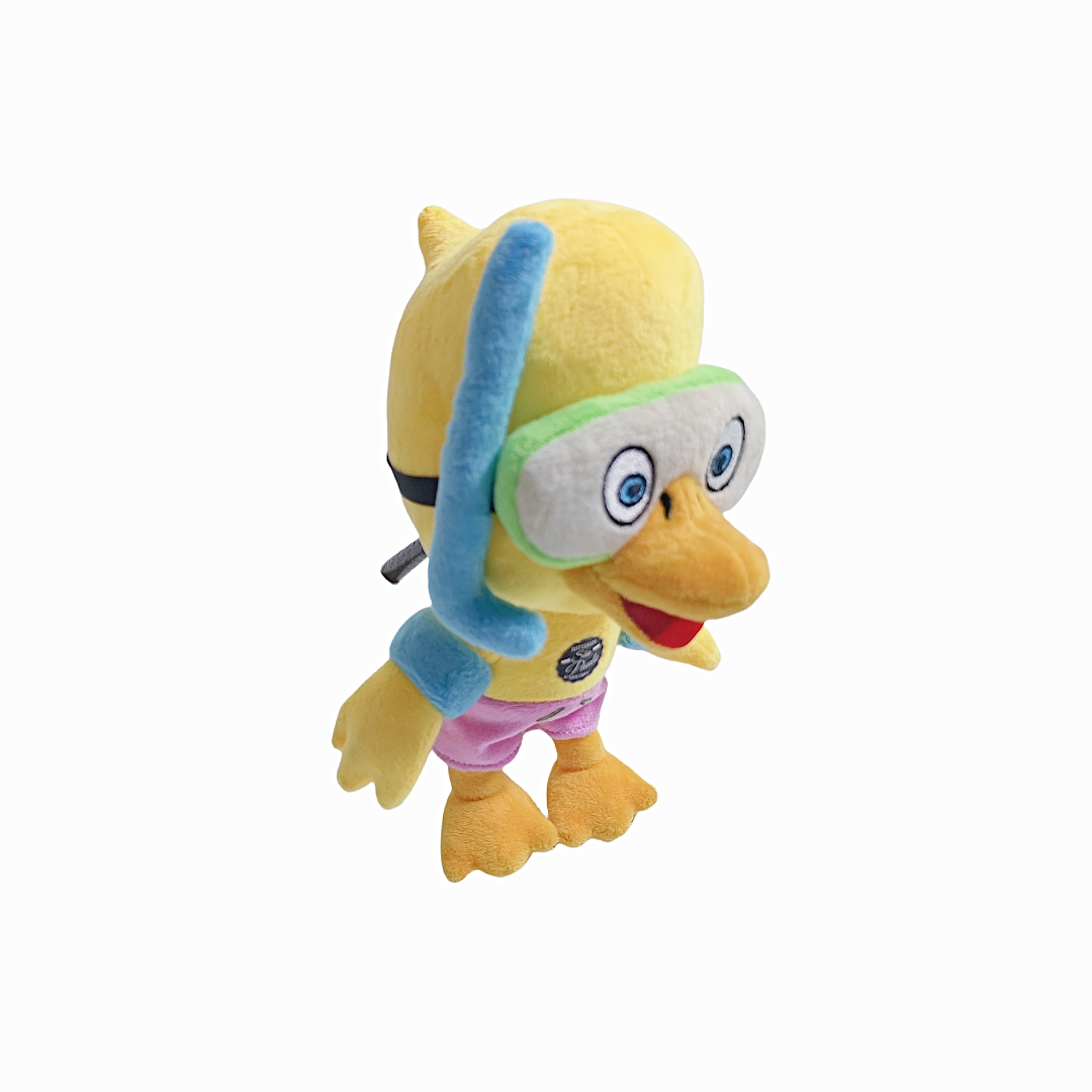 Duck Toys צעצועי ברווז