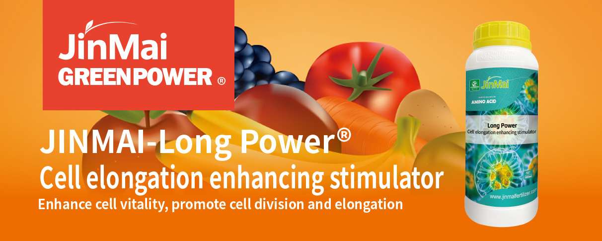 Cell Elongation Enhancing Stimulator Fertilizer_01 Zelldehnungsfördernder Stimulatordünger_01