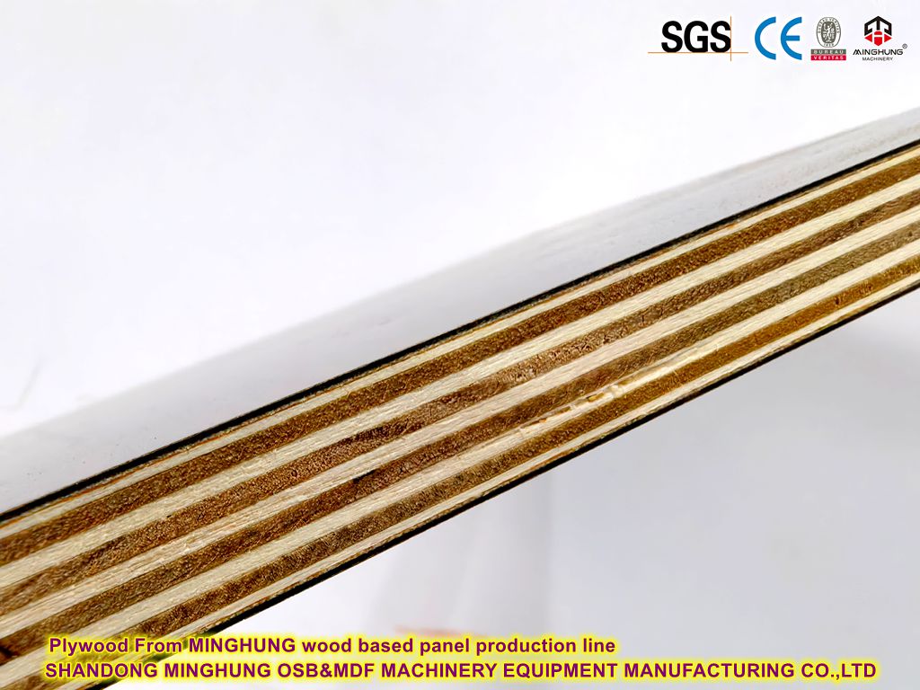 Plywood From MINGHUNG wood based panel production line Шперплат От линия за производство на дървени панели MINGHUNG