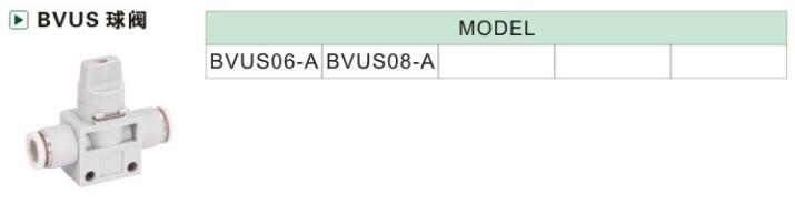 BVUS