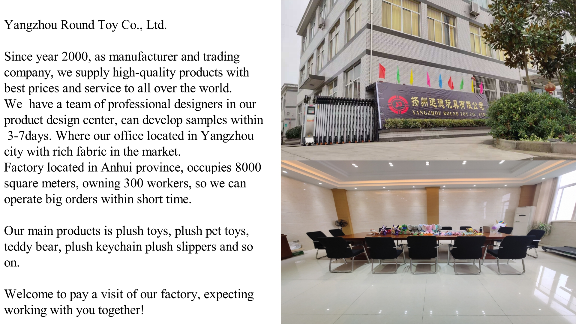 Company introduction معرفی شرکت