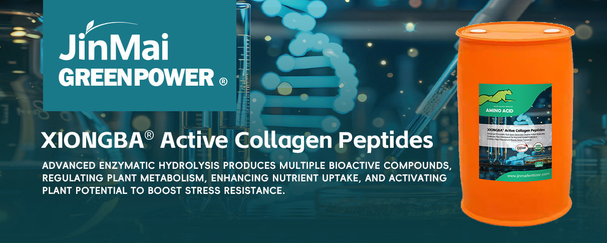 Active Collagen Peptides_01 Aktive Kollagenpeptide_01