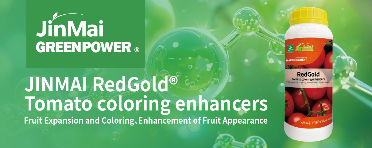 Tomato Coloring Enhancers Fertilizer_01 کود تقویت کننده رنگ گوجه فرنگی_01