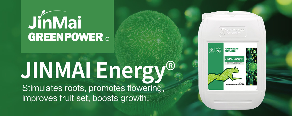 JINMAI Energy® Plant Growth Regulator_01 JINMAI Energy® Pflanzenwachstumsregulator_01
