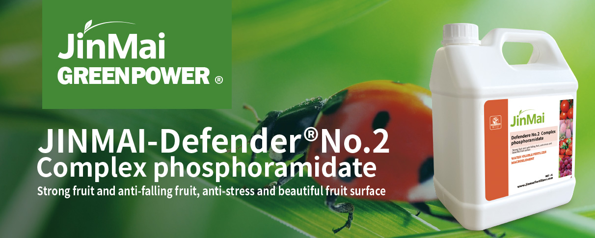 Complex Phosphoramidate Fertilizer Komplexer Phosphoramidat-Dünger