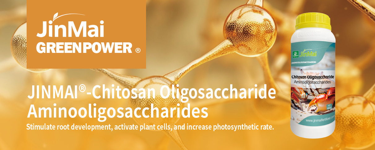 Aminooligosaccharides Fertilizer_01 کود آمینوالیگوساکارید_01