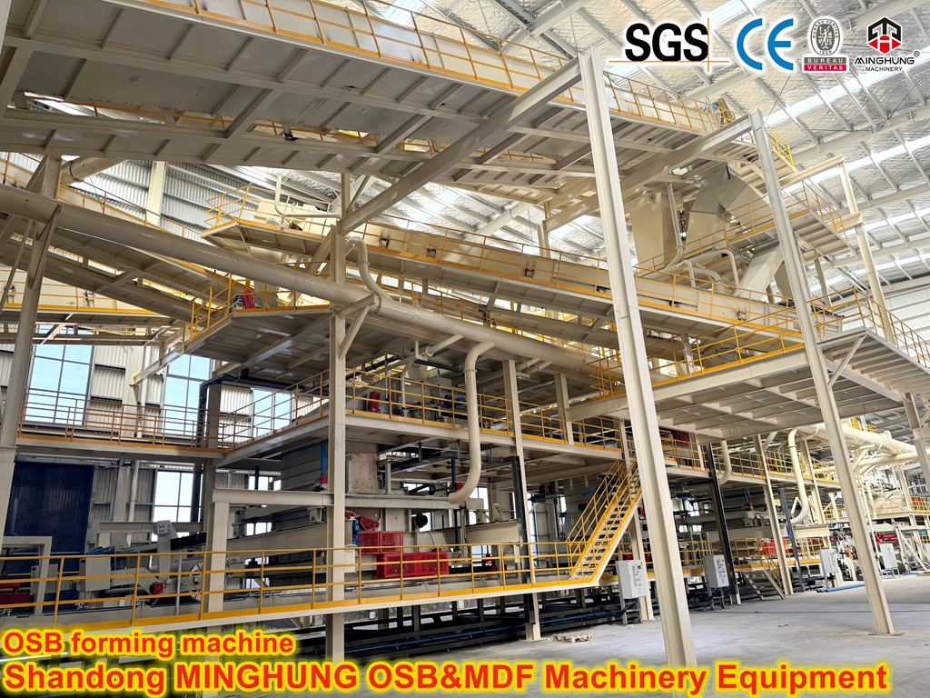 OSB forming machine MINGHUNG OSB emele getirýän maşyn