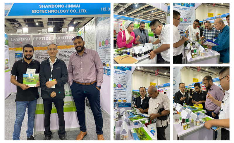 JINMAI-Successfully-Concludes-Egypt-International-Agricultural-Exhibition-2025_02 JINMAI-အောင်မြင်စွာ-နိဂုံးချုပ်-အီဂျစ်-နိုင်ငံတကာ-စိုက်ပျိုးရေး-ပြပွဲ-2025_02