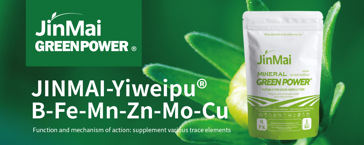 B-Fe-Mn-Zn-Mo-Cu Fertilizer_01 B-Fe-Mn-Zn-Mo-Cu-Dünger_01