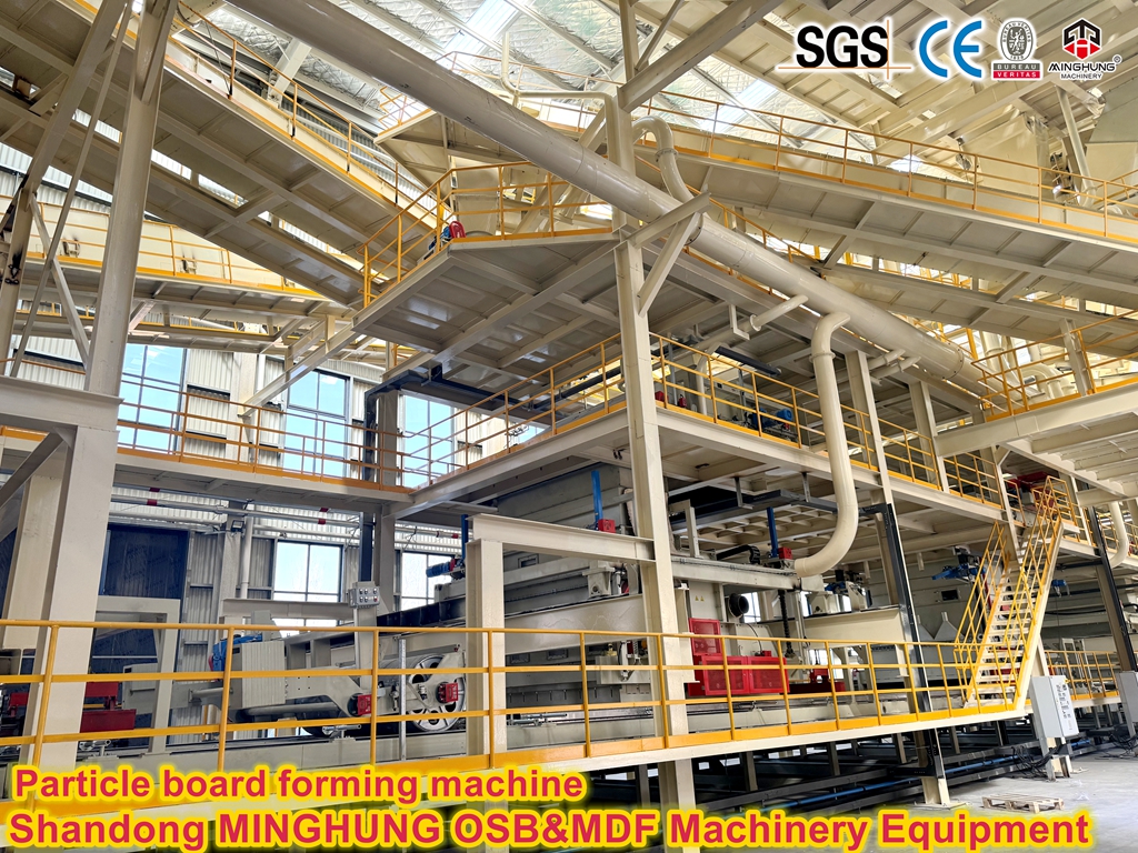 particle board forming machine آلة تشكيل الألواح الحبيبية