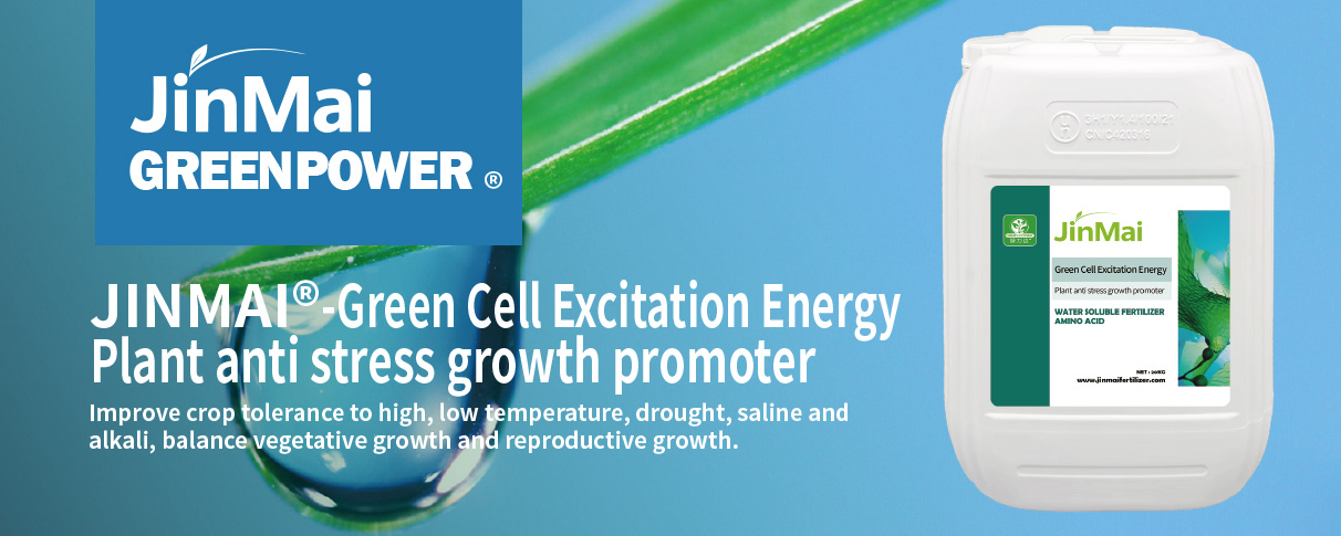 Plant Anti Stress Growth Promoter Fertilizer کود گیاهی ضد استرس محرک رشد