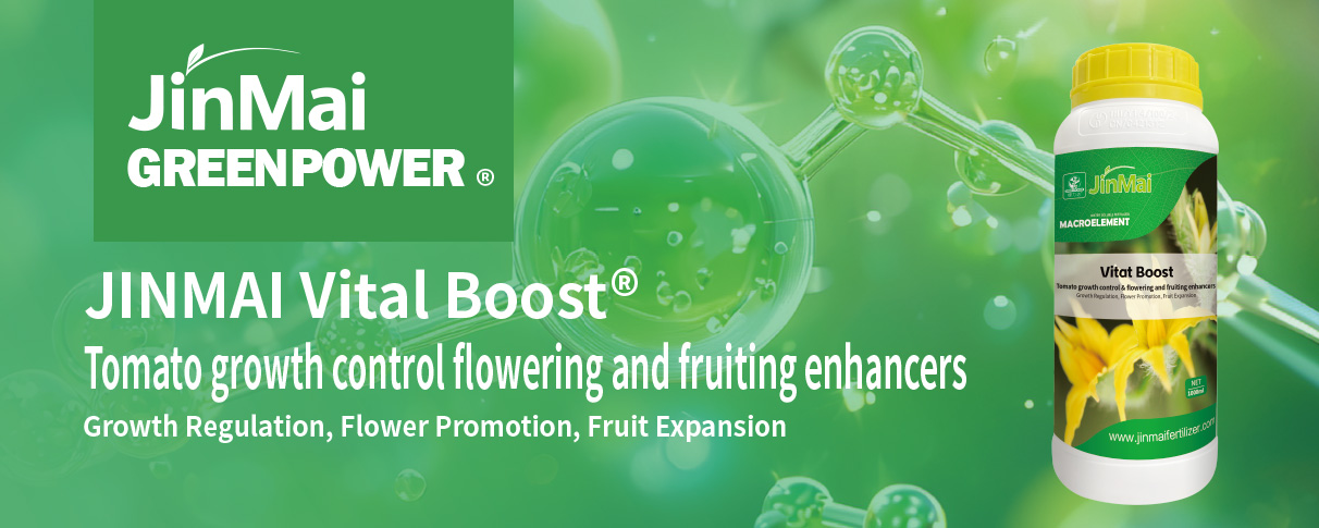 Tomato Growth Control Flowering And Fruiting Enhancers Fertilizer_01 Tomatenwachstumskontrolle, Blüh- und Fruchtverstärker, Dünger_01