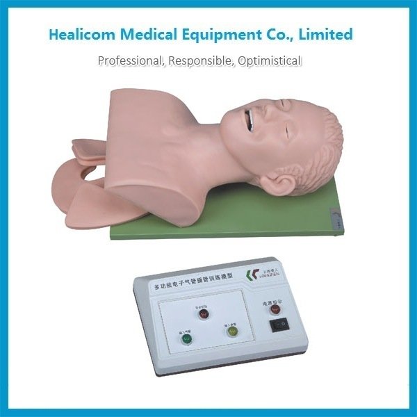 Modelo de entrenamiento de intubación de tráquea electrónica de alta calidad H-3
