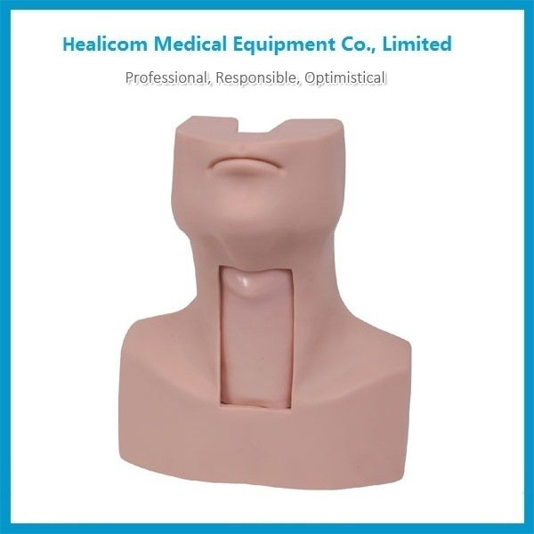 China Lieferant H-58 Medizinische Modell Trachea Intubation Trainingspuppe mit niedrigem Preis