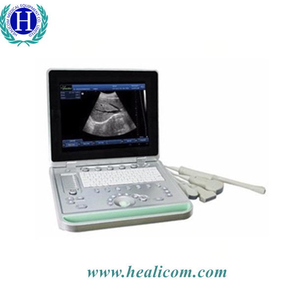 HV-9 Tragbares Laptop Veterinär-Ultraschallgerät Tierarzt Echo-Ultraschallgerät