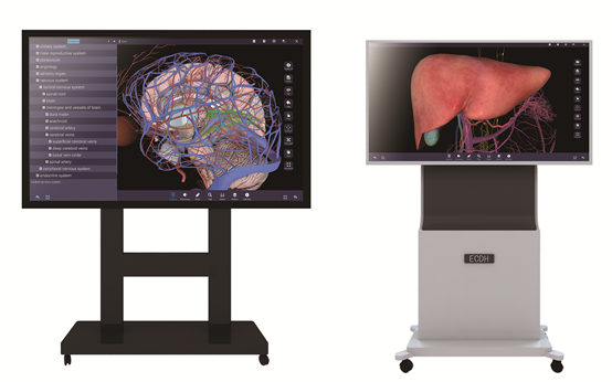 Tabl Anatomeg 3D