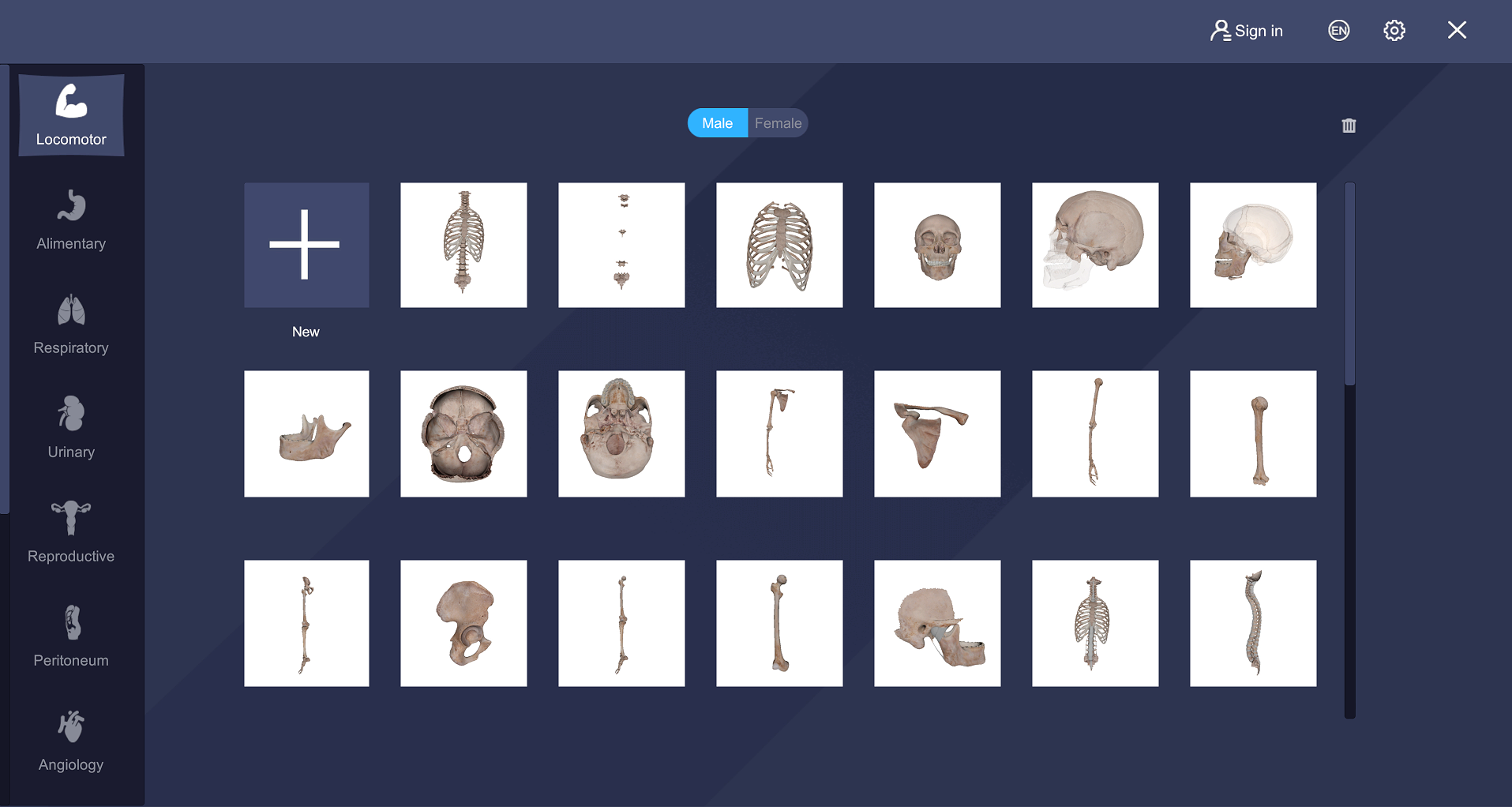 12 system