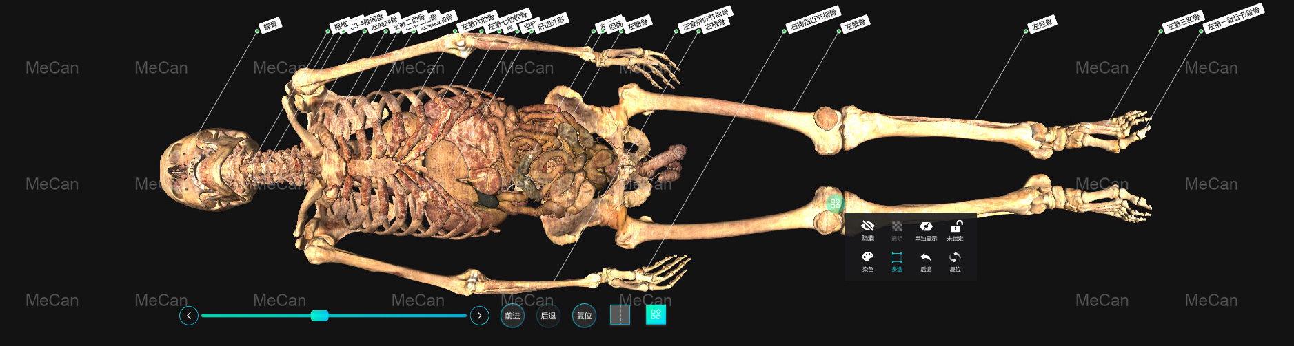 ລະບົບຕາຕະລາງ Anatomy Virtual
