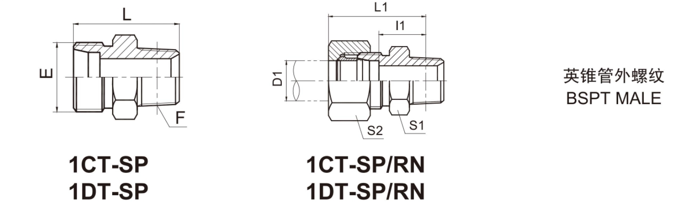 1CT 1DT-SP รูป纸