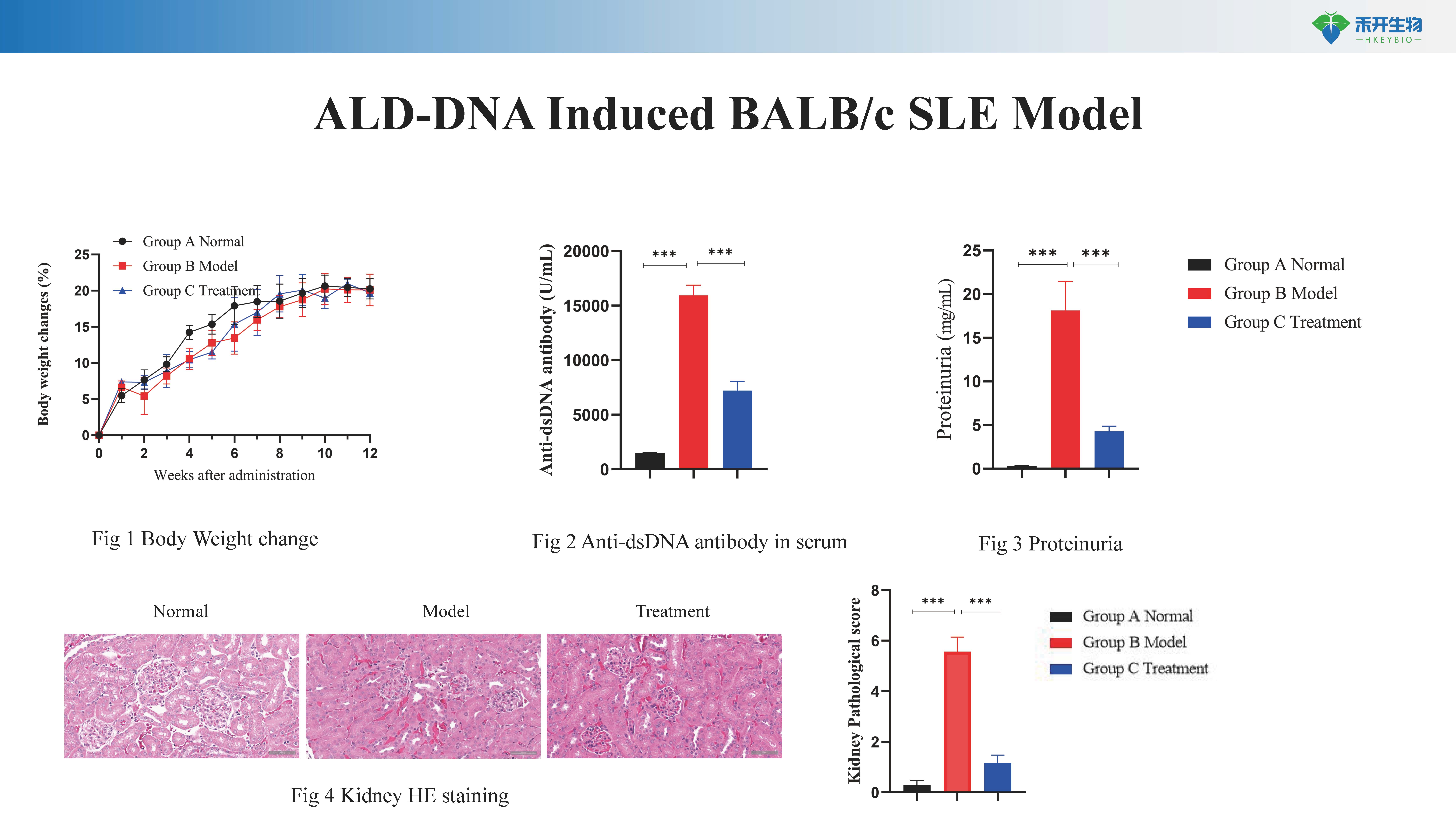 系统性红斑狼疮 SLE模型介绍 20240418_20240612141244_页面_6