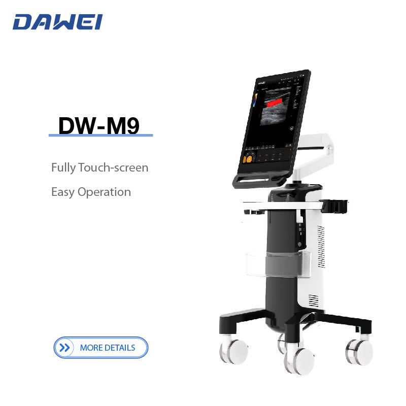 DW-M9