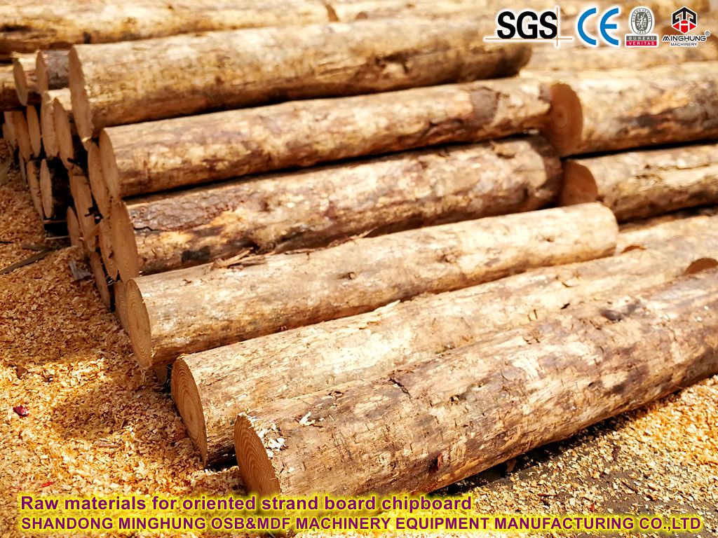 Raw materials for oriented strand board particle board Raw materials for oriented strand board particle board