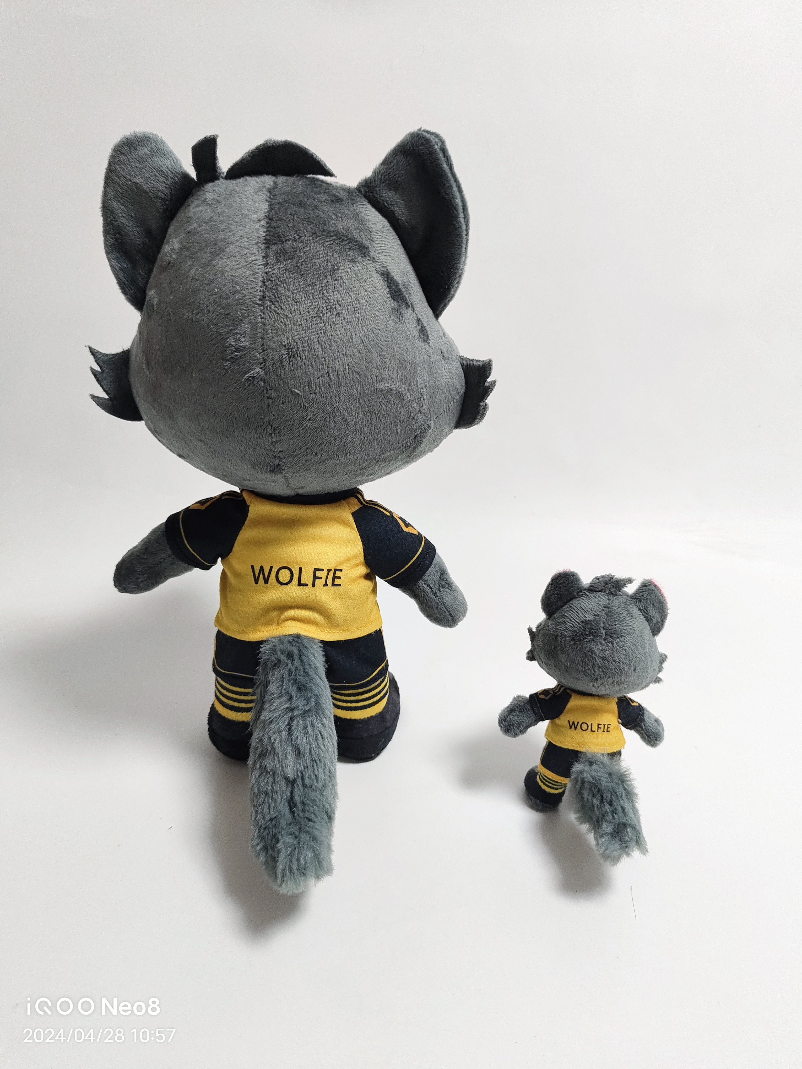 WOLF (9)