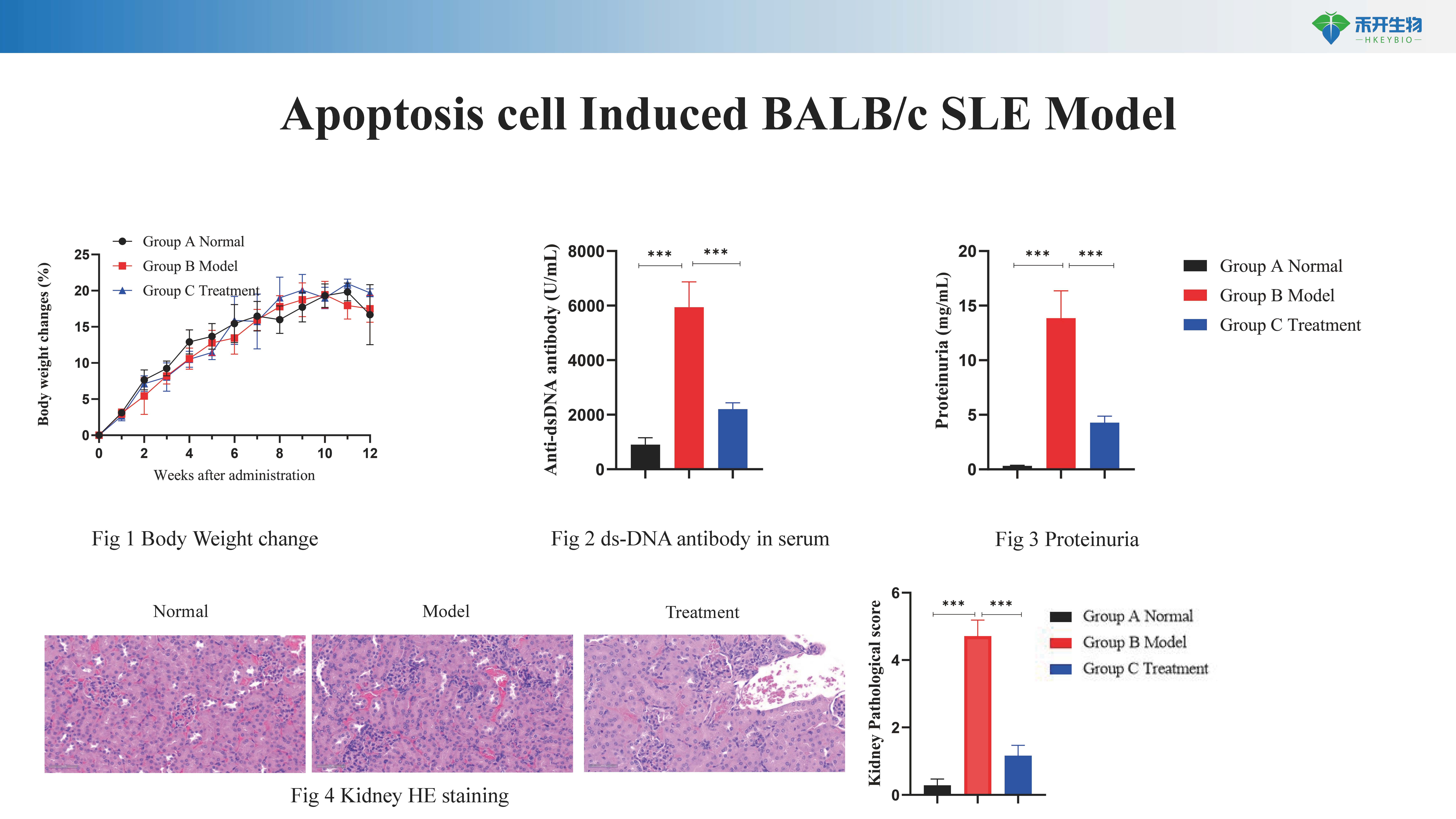 系统性红斑狼疮 SLE模型介绍 20240418_20240612141244_页面_7