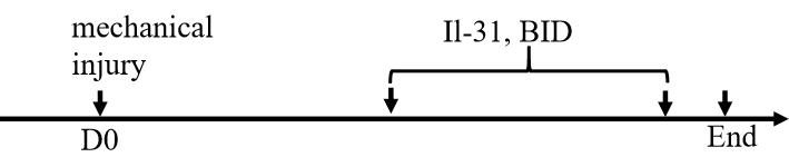 2e86ed46d9961036cc75450e223fd54