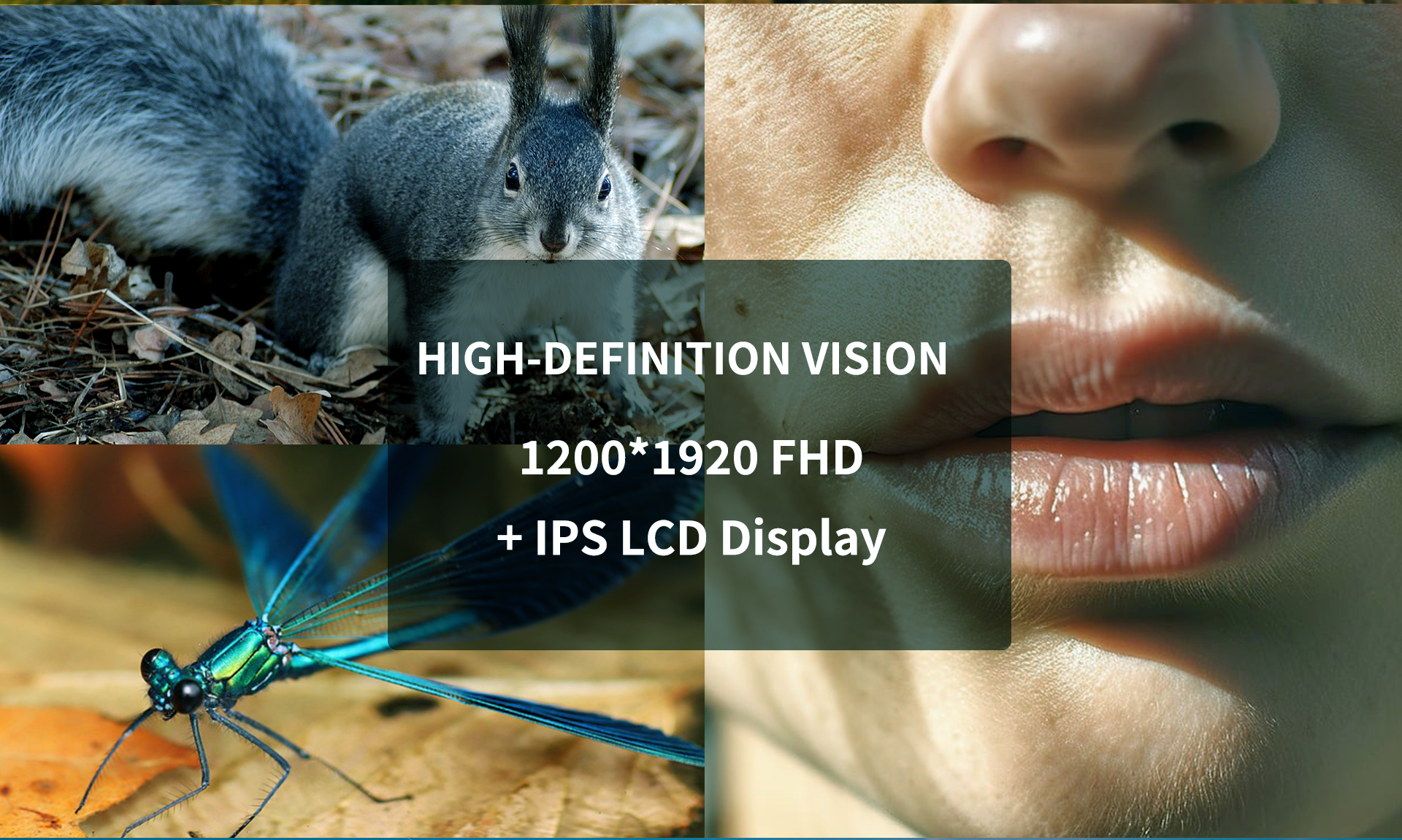 k101-active详情英文2025_05