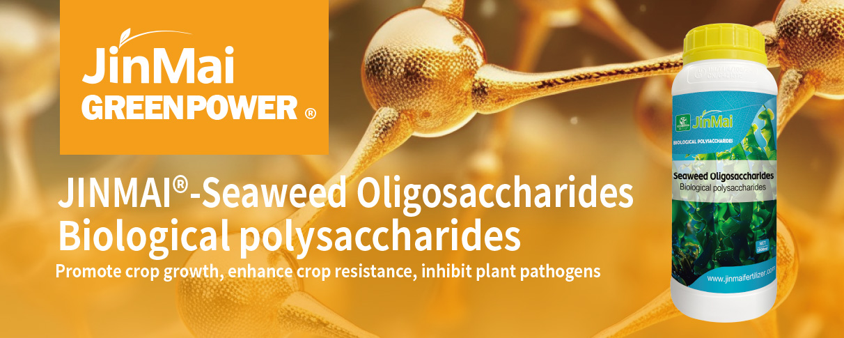 Fertilizante de oligosac&aacute;ridos de algas_01