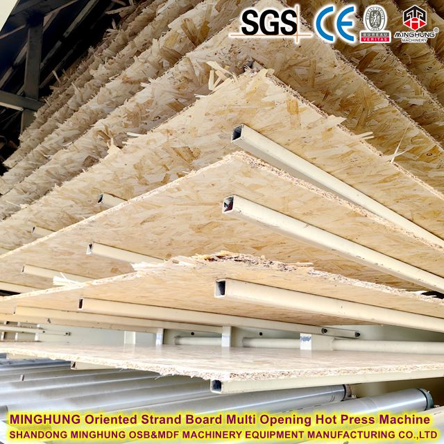 MINGHUNG Oriented Strand Board Multi &aring;bning varmpressemaskine