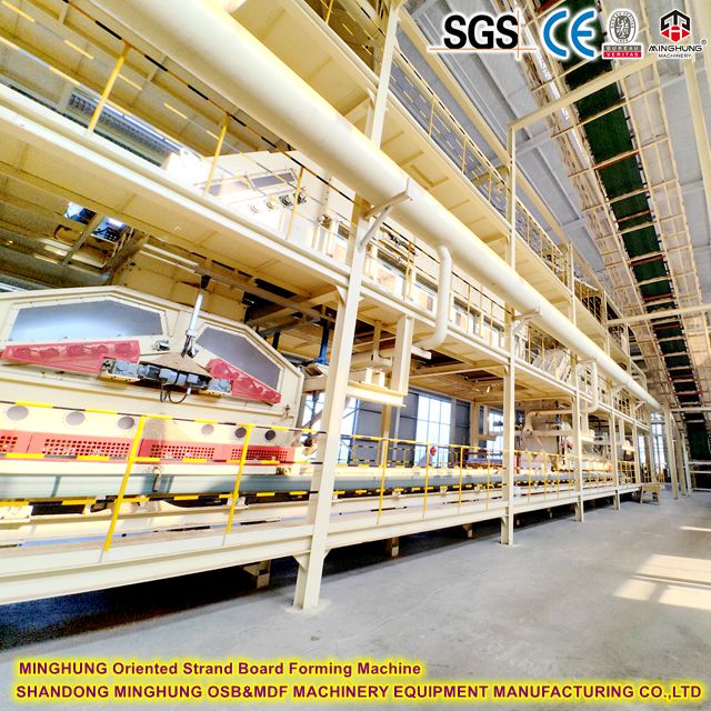MINGHUNG багытталган Strand Board түзүү Machine