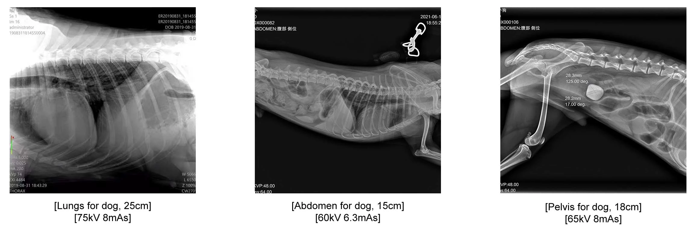 2ea004f1e7a80232a4c7eb8961da116