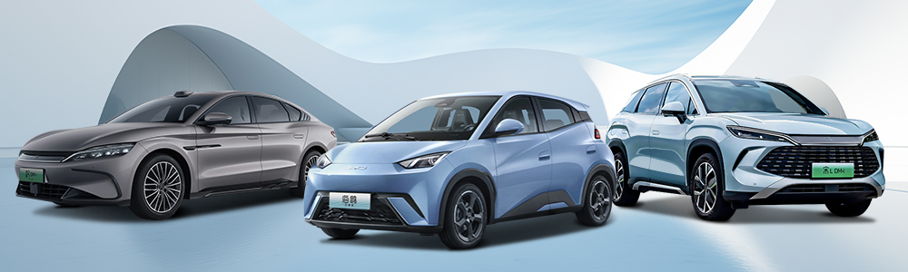 Sina nova Energy Cars For Sale