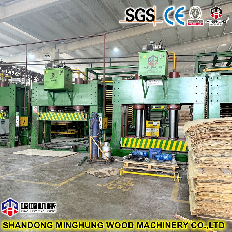 Prensa en fr&iacute;o de madera contrachapada MINGHUNG de China