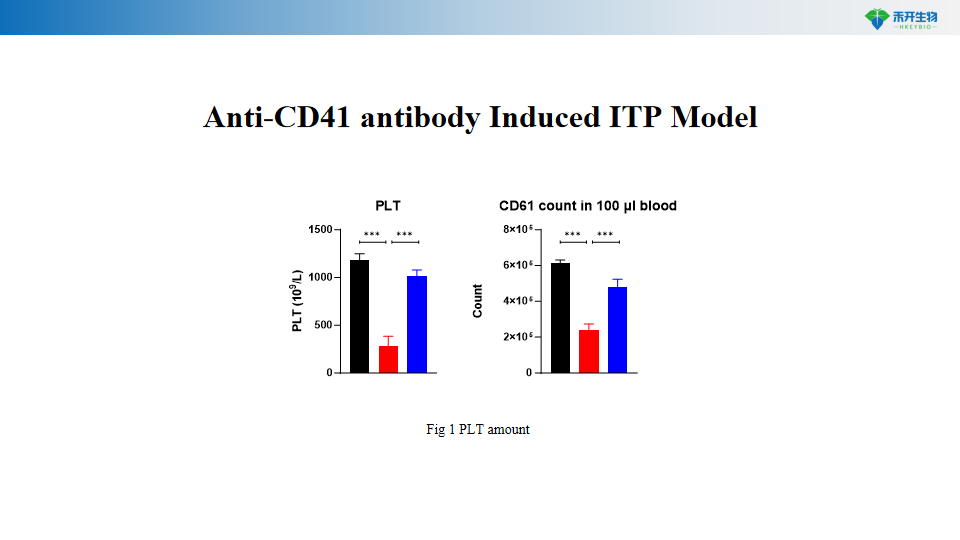 3afd07756a09341d7674d78f0f310b5