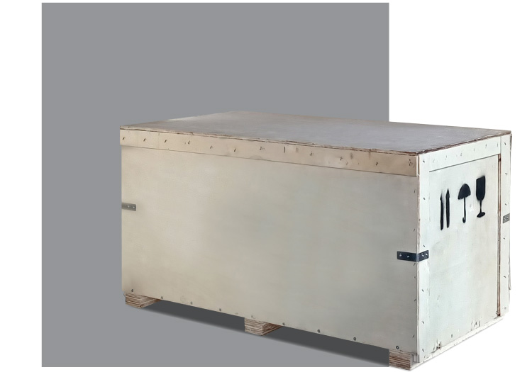 BS-300LD مضخة مياه 3_02