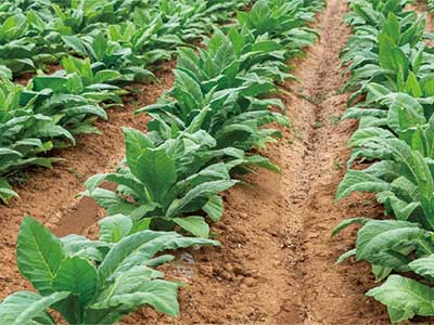 برنامه های کاربردی_03