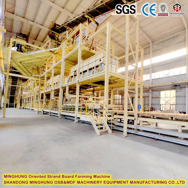 Oriented Strand Forming Board