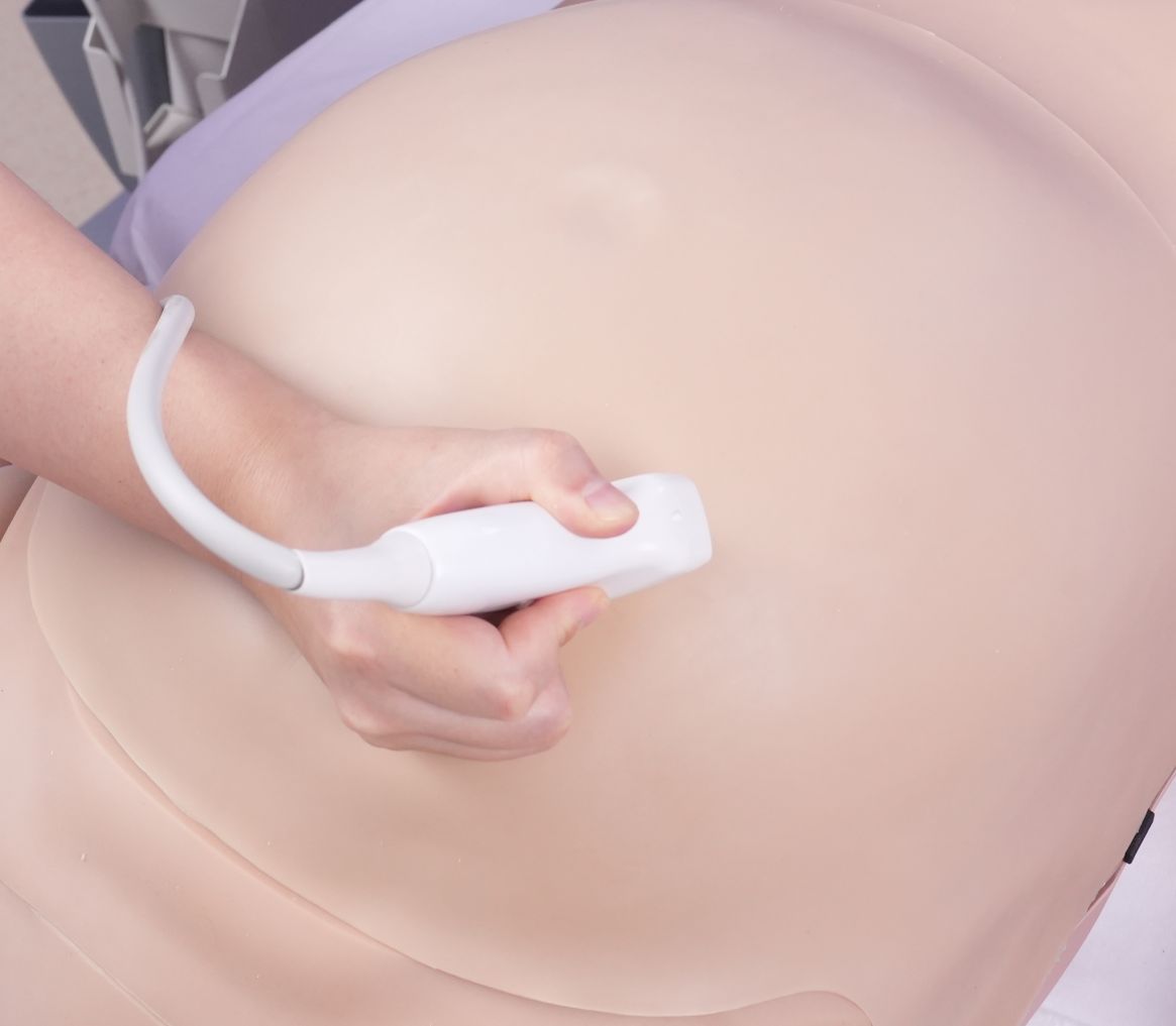 모듈형 초음파 검사 시뮬레이터