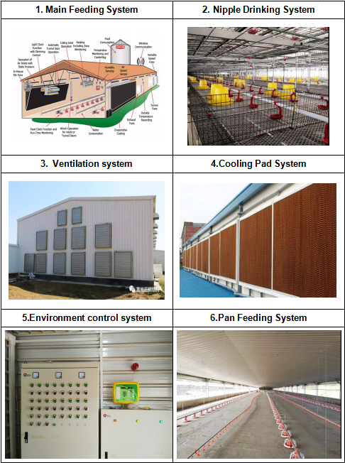 Algerian Poultry House