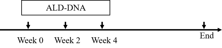 6339ce4abc96aec59b5006145e397e2