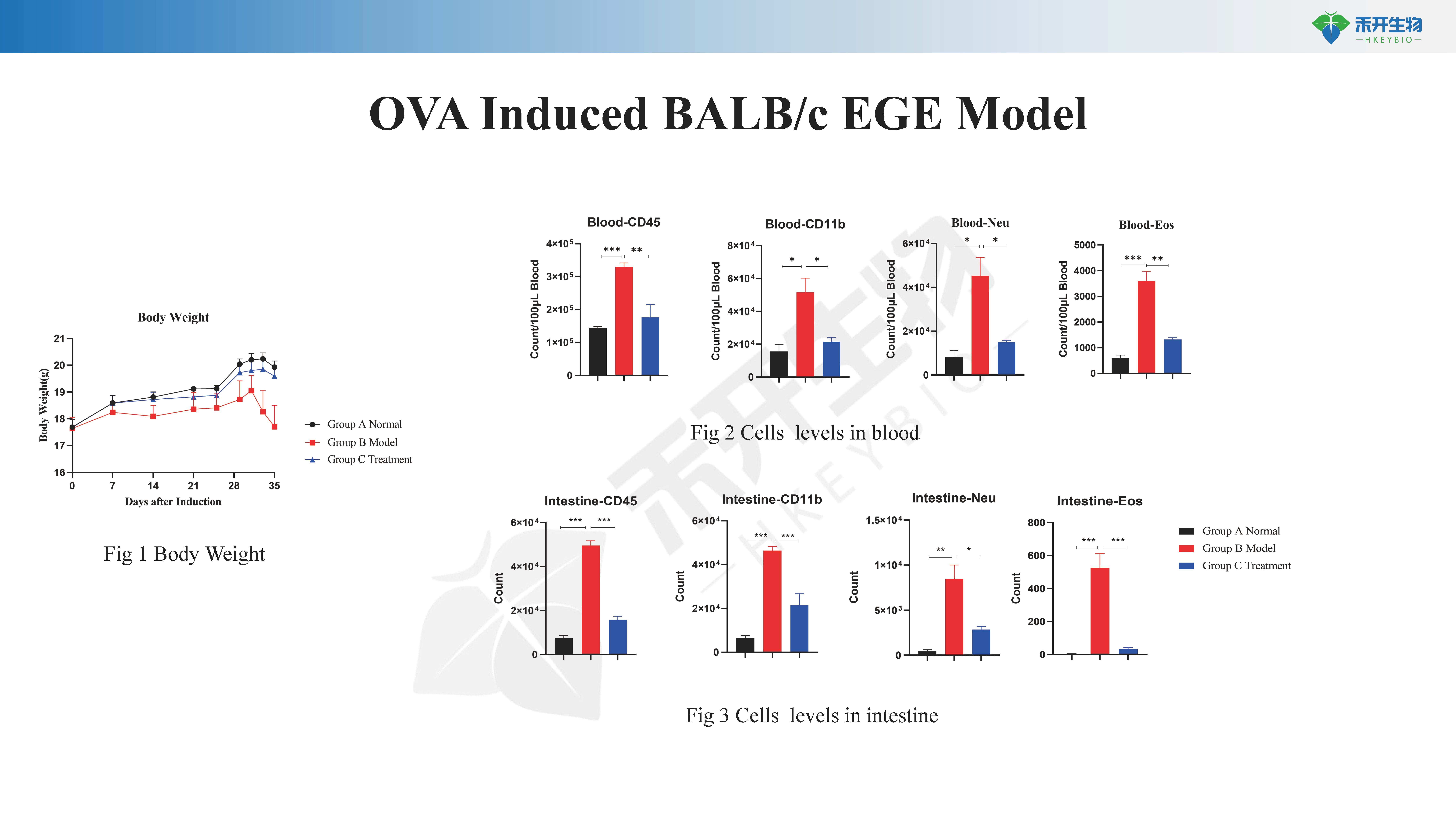嗜酸性胃肠炎 模型介绍 -20230418_20240604141914