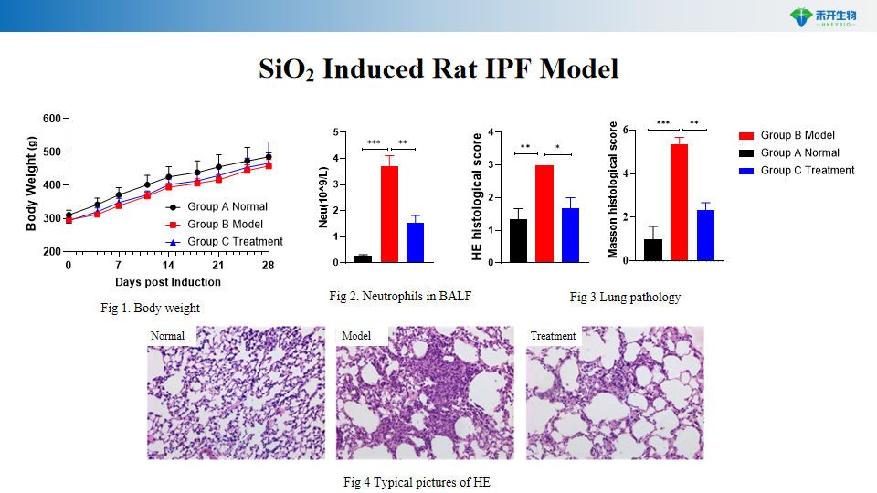 8af5c79582bfce35085f697b7247644
