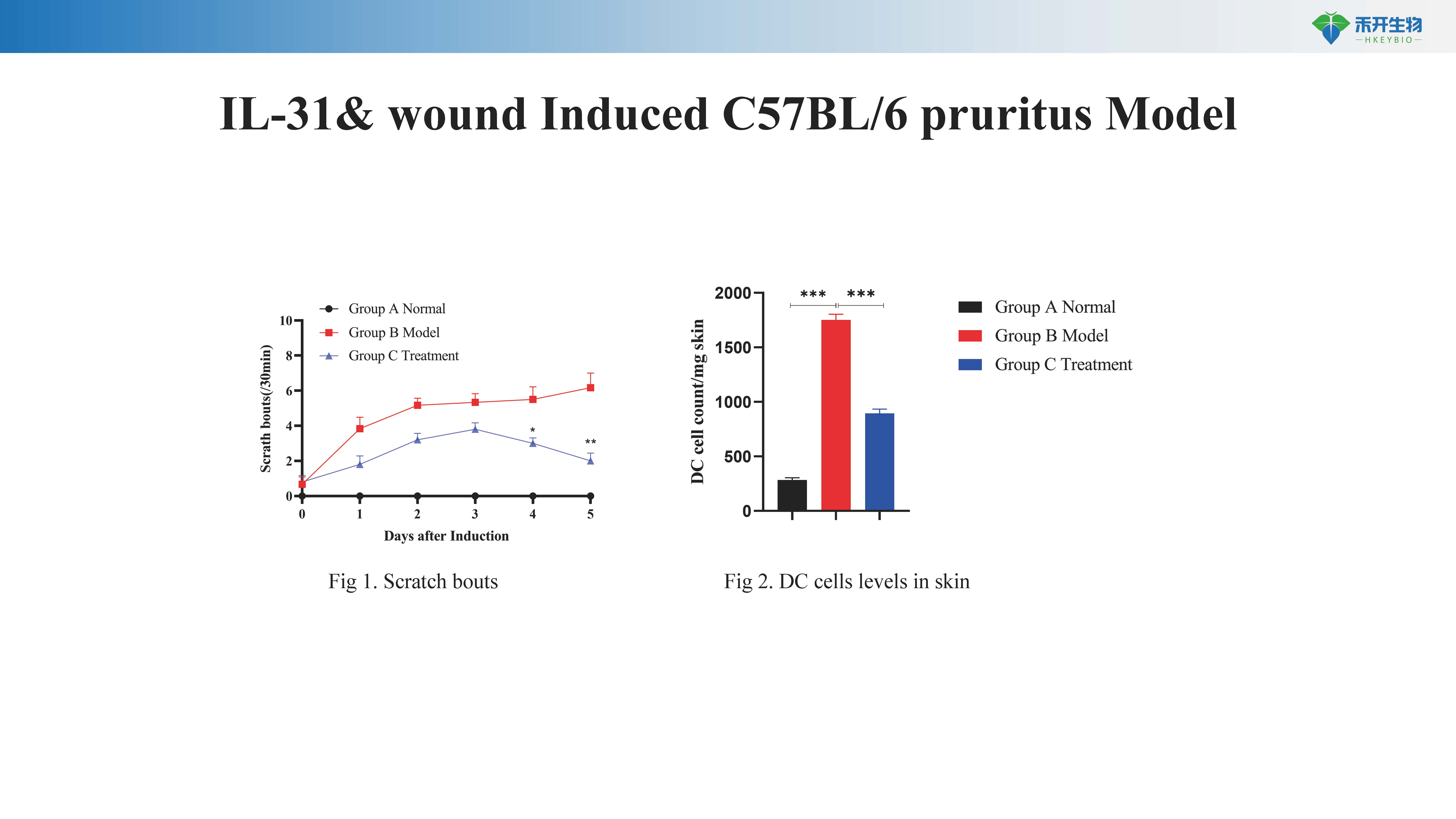 瘙痒模型介绍 20240410_20240613102802_页面_1