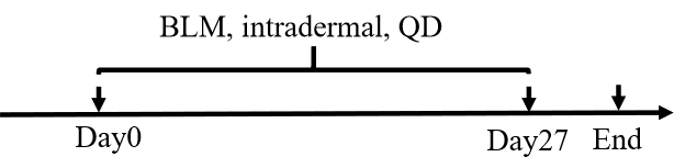 af753be01540cb2c65aff1c635fa84f