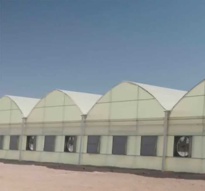 <br><br><strong><span style='font-size:52px;'>Dimana Anda Menemukan Yang <span style='color:#fe8a01;'>Optimal<br></span> Solusi <span style='color:#fe8a01;'>Penanaman Rumah Kaca</span></span></strong>